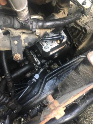 67654755_724164228016063_5726941617626021888_n