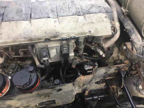 67874173_724164208016065_2340180177528553472_n